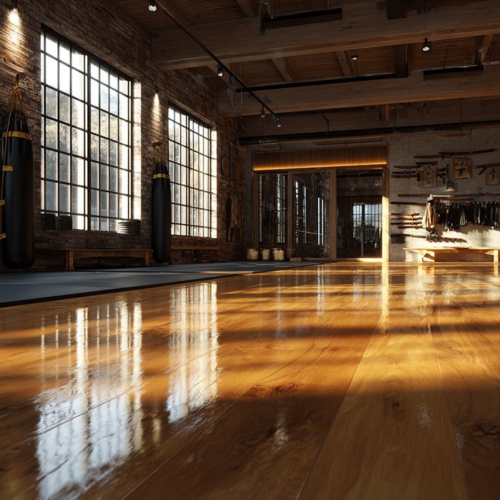 Martial Arts Dojo