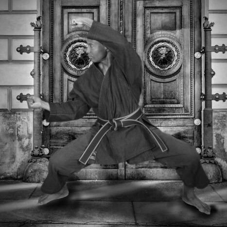 James Martial Arts Academy sigung Darryl James BG